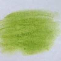 Νο. 204 - ξηρό παστέλ l'ecu Sennelier Leaf green